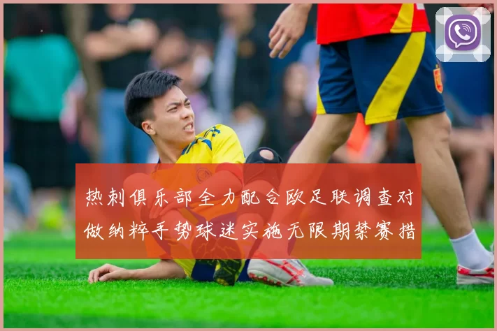 热刺俱乐部全力配合欧足联调查对做纳粹手势球迷实施无限期禁赛措施
