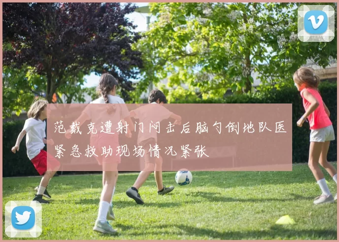范戴克遭射门闷击后脑勺倒地队医紧急救助现场情况紧张